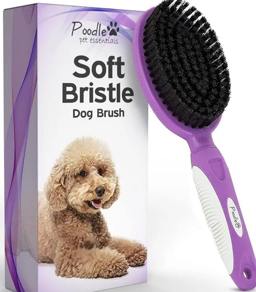 Bristle Brush for Groodles