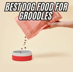 Best Dog Food for Groodles